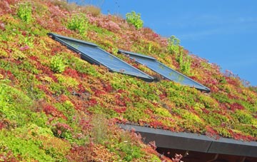 Ross living roof systems